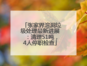 张家界溶洞垃圾处理最新进展：清理51吨，4人停职检查