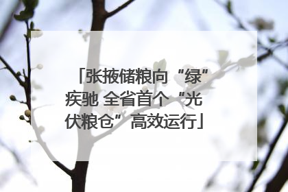 张掖储粮向“绿”疾驰 全省首个“光伏粮仓”高效运行