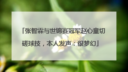 张智霖与世锦赛冠军赵心童切磋球技，本人发声：很梦幻