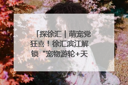 探徐汇｜萌宠党狂喜！徐汇滨江解锁“宠物游轮+天台乐园”双玩法