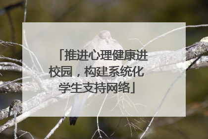 推进心理健康进校园，构建系统化学生支持网络