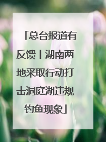 总台报道有反馈丨湖南两地采取行动打击洞庭湖违规钓鱼现象