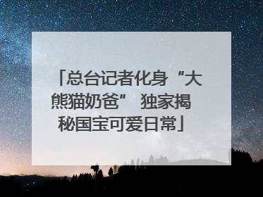 总台记者化身“大熊猫奶爸” 独家揭秘国宝可爱日常
