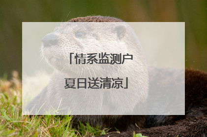 情系监测户 夏日送清凉