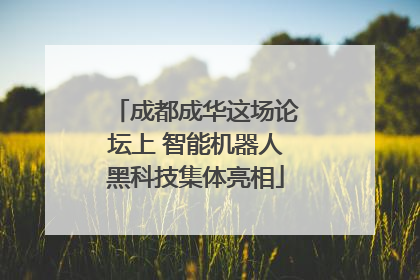 成都成华这场论坛上 智能机器人黑科技集体亮相