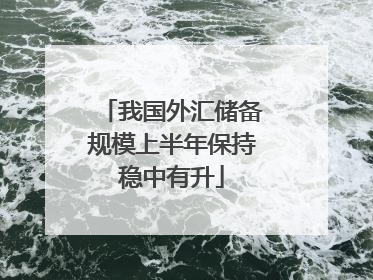 我国外汇储备规模上半年保持稳中有升