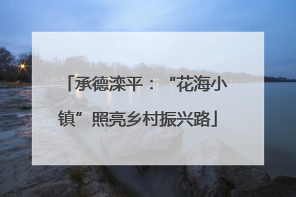 承德滦平：“花海小镇”照亮乡村振兴路