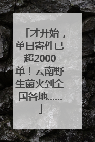 才开始，单日寄件已超2000单！云南野生菌火到全国各地……