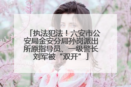执法犯法！六安市公安局金安分局孙岗派出所原指导员、一级警长刘军被“双开”