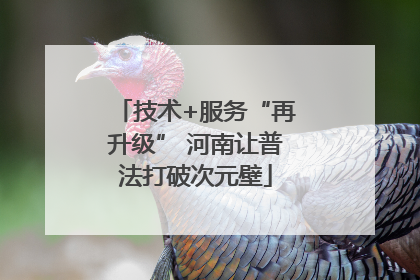 技术+服务“再升级” 河南让普法打破次元壁