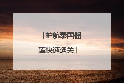 护航泰国榴莲快速通关