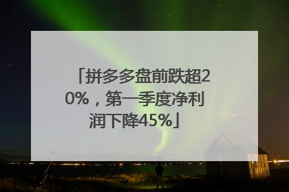 拼多多盘前跌超20%，第一季度净利润下降45%