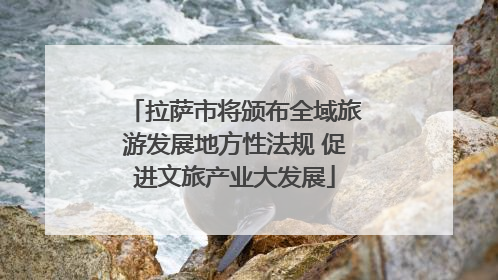 拉萨市将颁布全域旅游发展地方性法规 促进文旅产业大发展