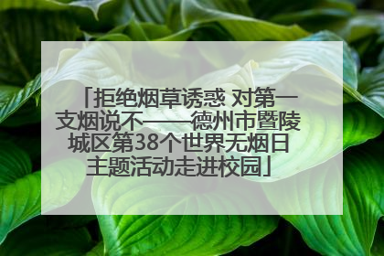 拒绝烟草诱惑 对第一支烟说不——德州市暨陵城区第38个世界无烟日主题活动走进校园