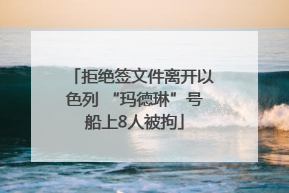 拒绝签文件离开以色列 “玛德琳”号船上8人被拘