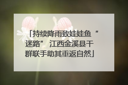 持续降雨致娃娃鱼“迷路” 江西金溪县干群联手助其重返自然