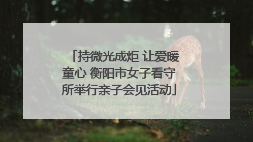 持微光成炬 让爱暖童心 衡阳市女子看守所举行亲子会见活动