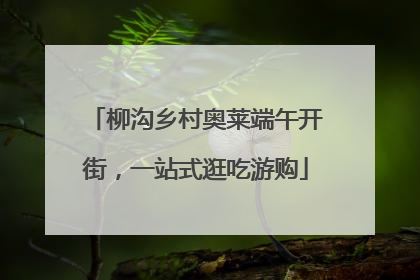 柳沟乡村奥莱端午开街，一站式逛吃游购
