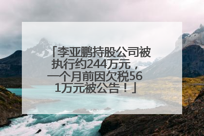 李亚鹏持股公司被执行约244万元，一个月前因欠税561万元被公告！