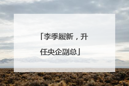 李季履新，升任央企副总