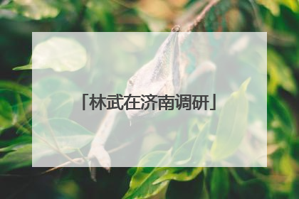 林武在济南调研