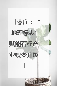 枣庄：“地理标志”赋能石榴产业蝶变升级