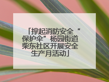 撑起消防安全“保护伞”杨园街道柴东社区开展安全生产月活动