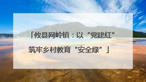 攸县网岭镇：以“党建红”筑牢乡村教育“安全绿”