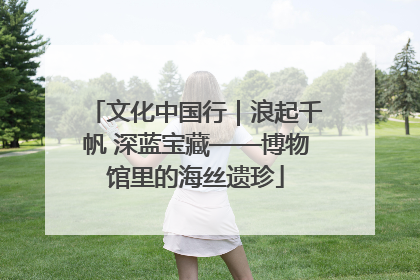 文化中国行｜浪起千帆 深蓝宝藏——博物馆里的海丝遗珍