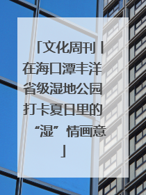 文化周刊丨在海口潭丰洋省级湿地公园打卡夏日里的“湿”情画意