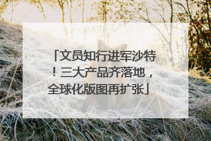 文员知行进军沙特！三大产品齐落地，全球化版图再扩张