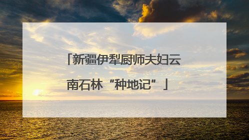 新疆伊犁厨师夫妇云南石林“种地记”