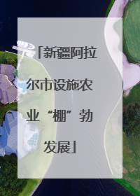 新疆阿拉尔市设施农业“棚”勃发展
