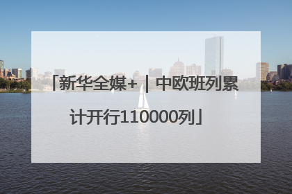 新华全媒+｜中欧班列累计开行110000列