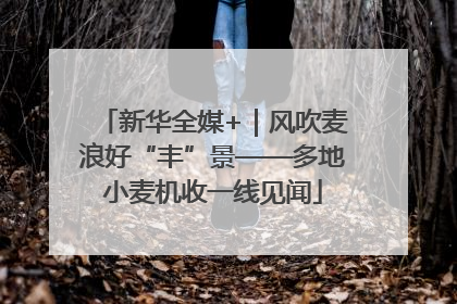 新华全媒+｜风吹麦浪好“丰”景——多地小麦机收一线见闻