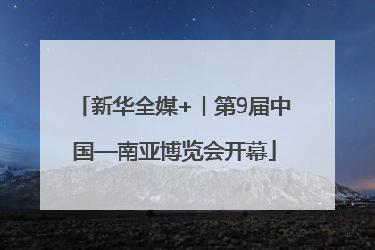 新华全媒+丨第9届中国—南亚博览会开幕