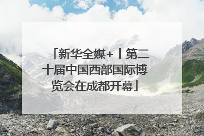 新华全媒+丨第二十届中国西部国际博览会在成都开幕