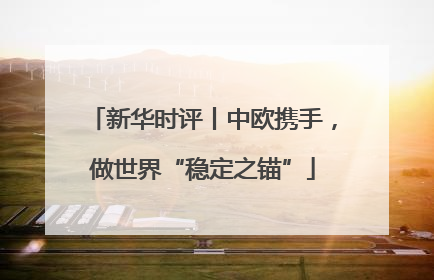 新华时评丨中欧携手，做世界“稳定之锚”