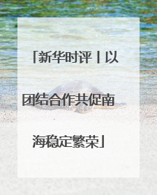 新华时评丨以团结合作共促南海稳定繁荣