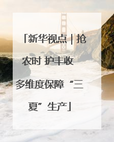 新华视点｜抢农时 护丰收 多维度保障“三夏”生产