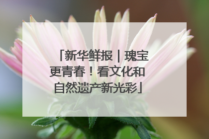 新华鲜报｜瑰宝更青春！看文化和自然遗产新光彩