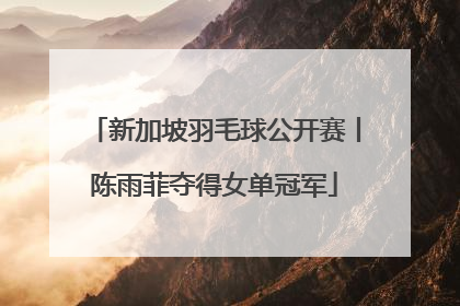 新加坡羽毛球公开赛丨陈雨菲夺得女单冠军