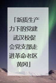 新质生产力下的党建 武汉校促会党支部走进革命老区黄冈
