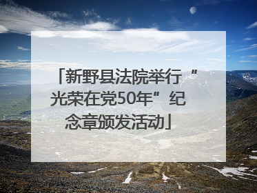 新野县法院举行“光荣在党50年”纪念章颁发活动