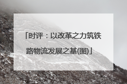 时评：以改革之力筑铁路物流发展之基(图)