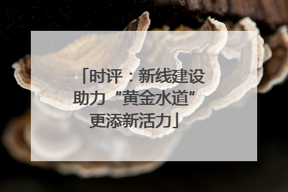 时评：新线建设助力“黄金水道”更添新活力