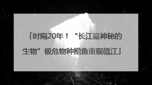 时隔20年！“长江最神秘的生物”极危物种鳤鱼重现赣江