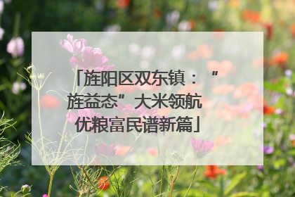 旌阳区双东镇：“旌益态”大米领航 优粮富民谱新篇