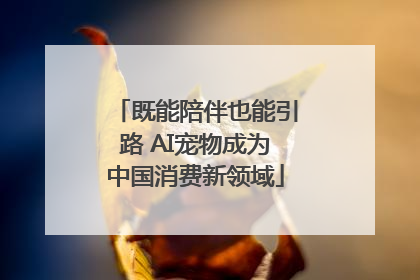 既能陪伴也能引路 AI宠物成为中国消费新领域