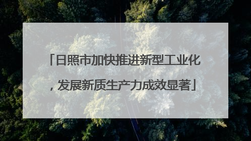 日照市加快推进新型工业化，发展新质生产力成效显著